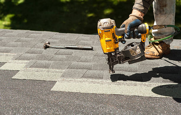 Best Roof Gutter Cleaning  in Mono Vista, CA